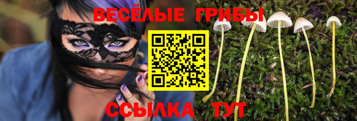 Галлюциногенные грибы Magic Shrooms Холмск