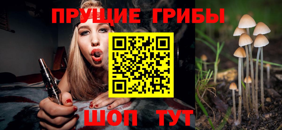 Холмск  Псилоцибиновые грибы Magic Shrooms  Вход с VPN 